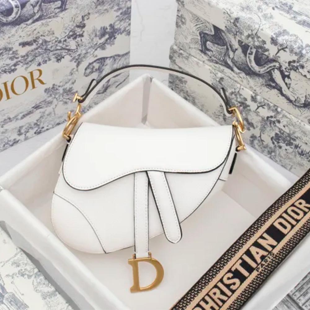 Dior Saddle bag Grained 19.5cm 6666