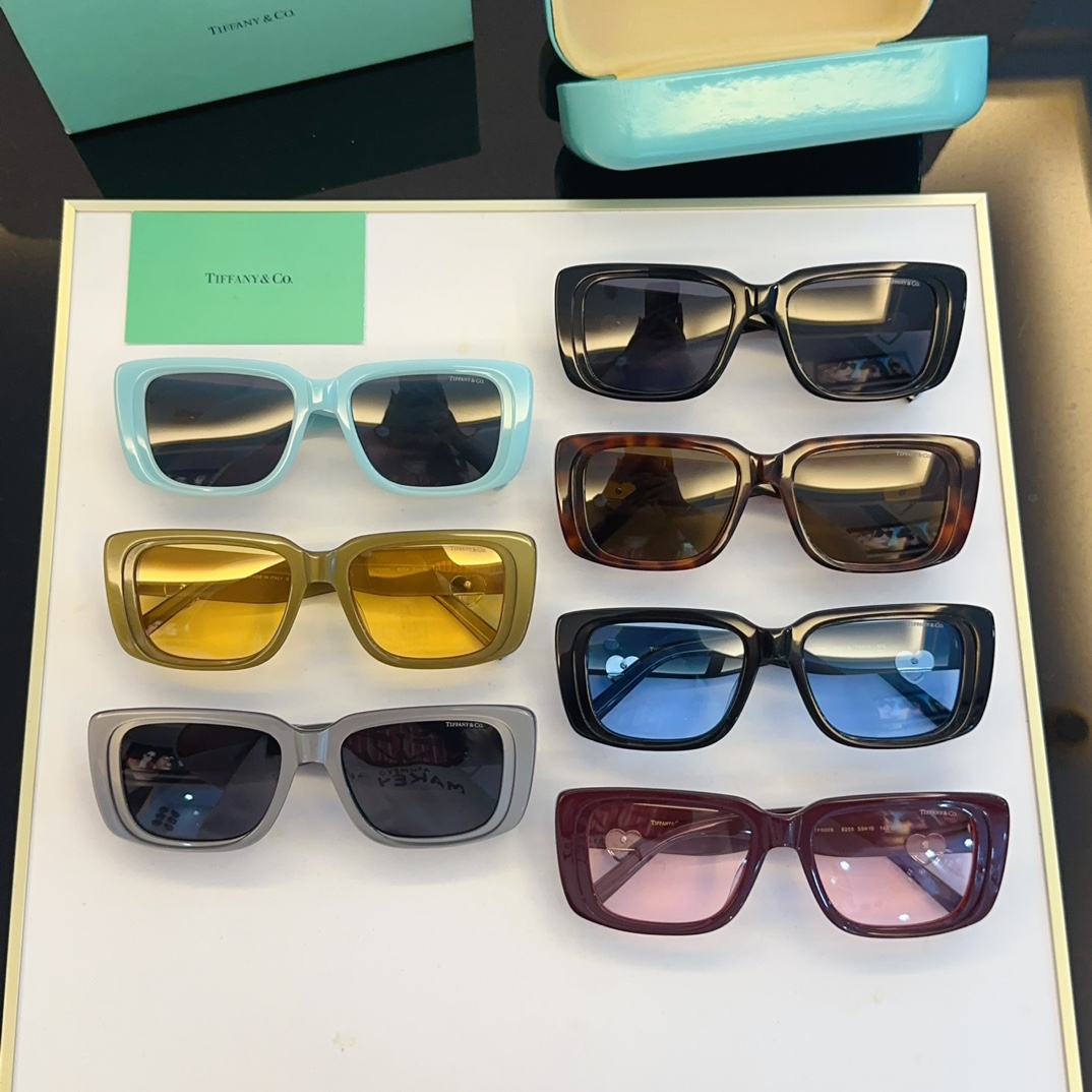 Tiffany & Co. Sunglasses TF5009 SM051