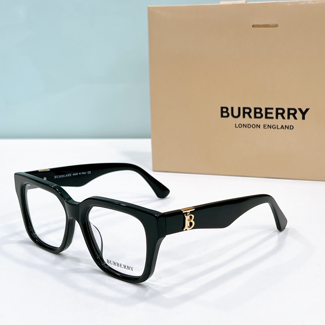 Burberry Sunglasses BE4419 SM501