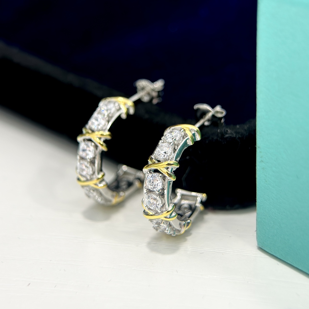 Tiffany & Co. Earring 011