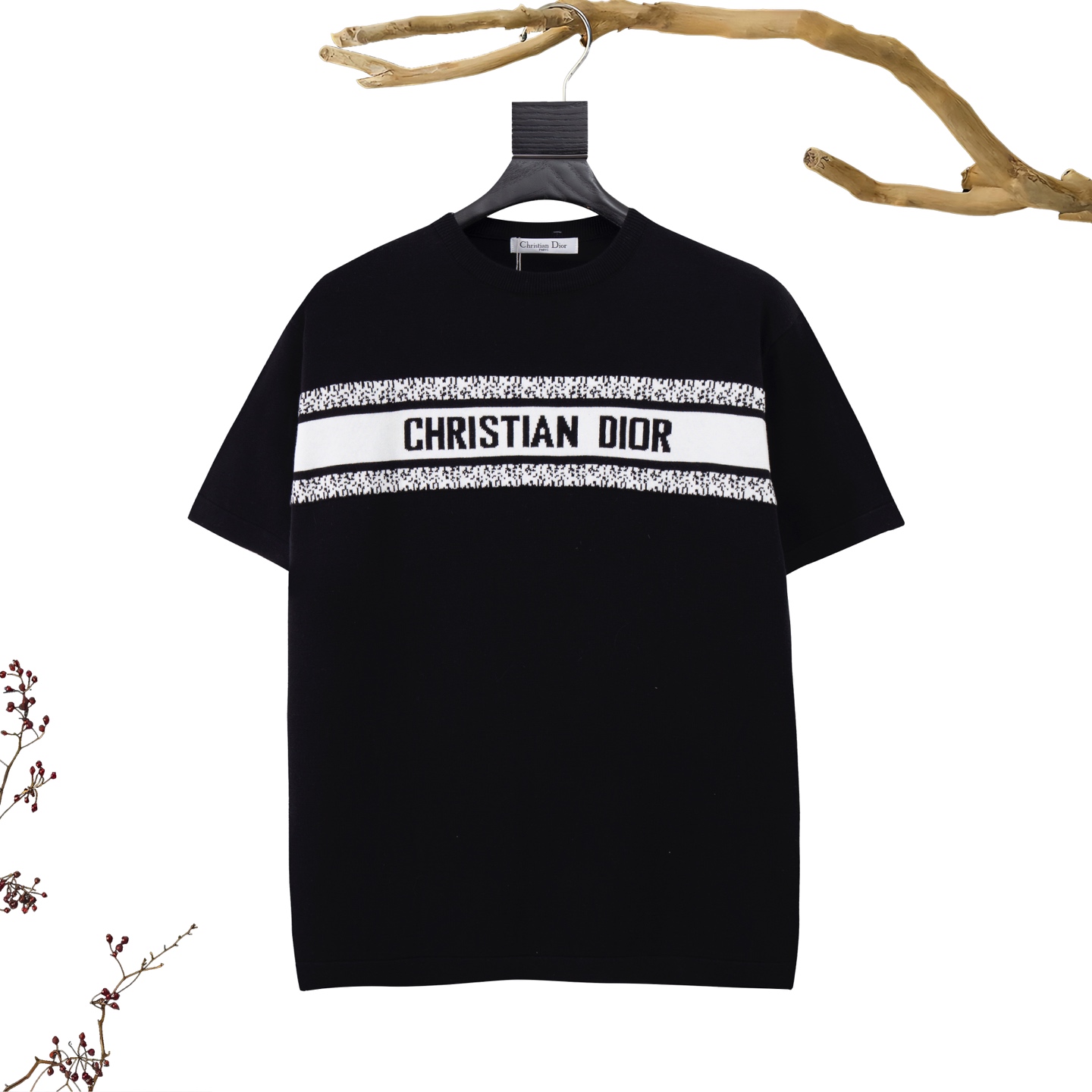 Dior T-Shirts 009
