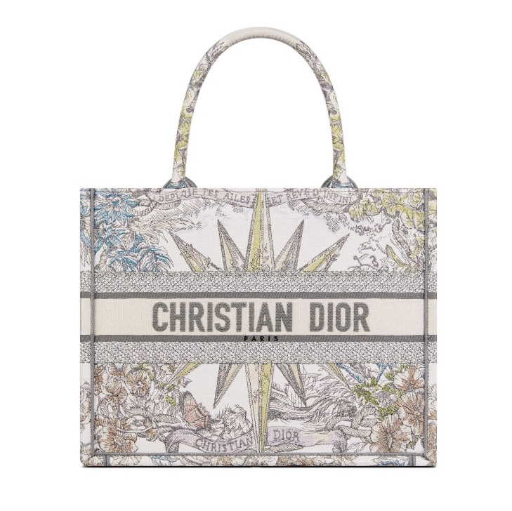 DIOR Book Tote Starlight&Star Tote Bags(Replica)