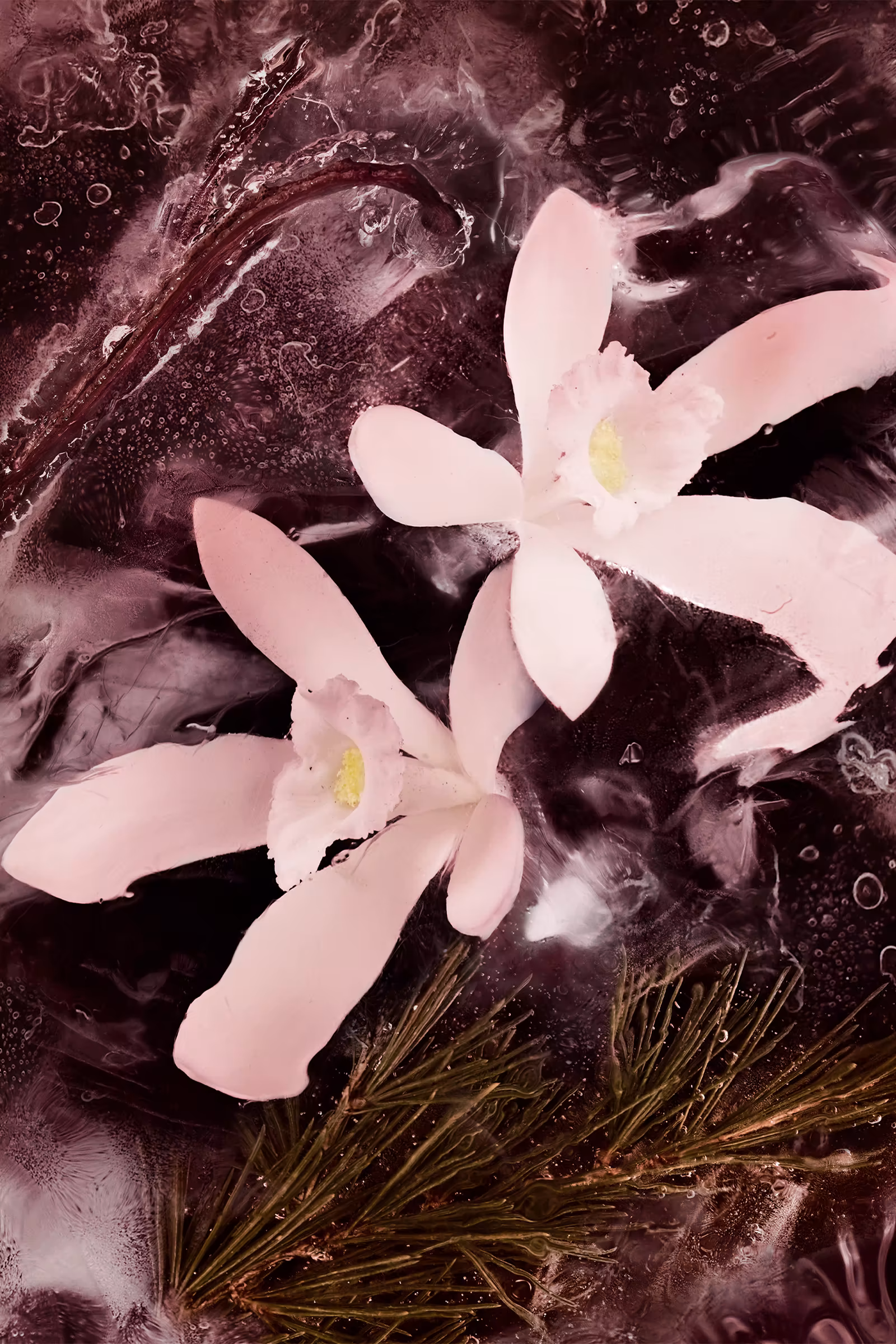 Haute Montagne 6.7 Fl.Oz.