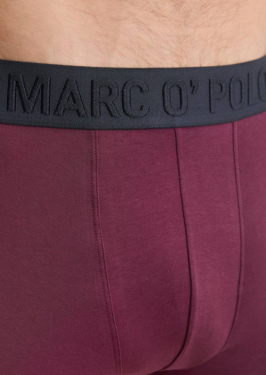 Trunk in a pack of 3