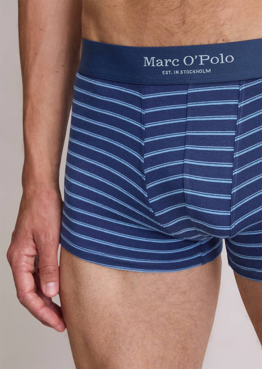 Trunk in a pack of 3