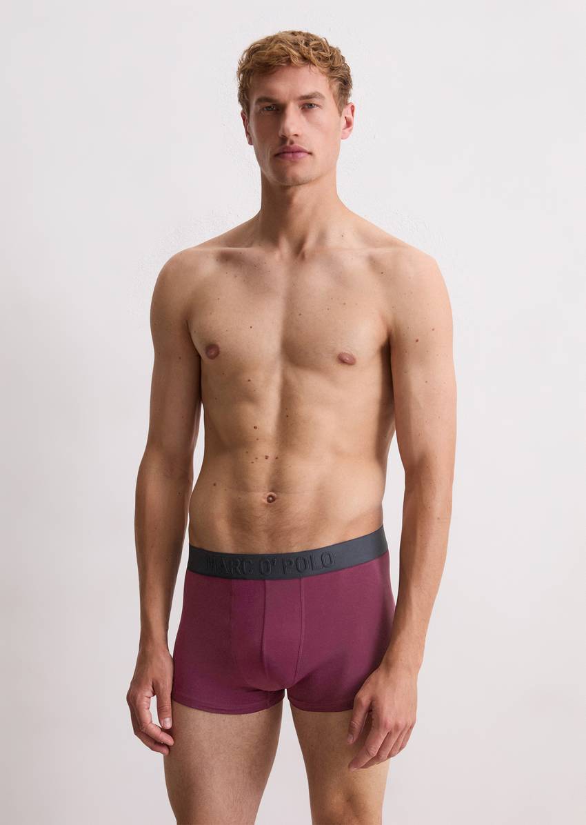 Trunk in a pack of 3