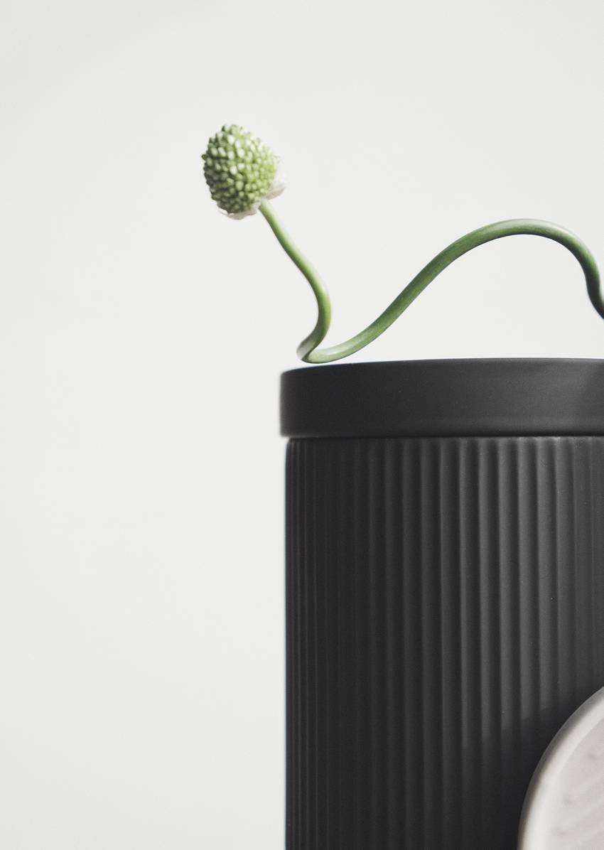 Large container model The Wave from durable stoneware