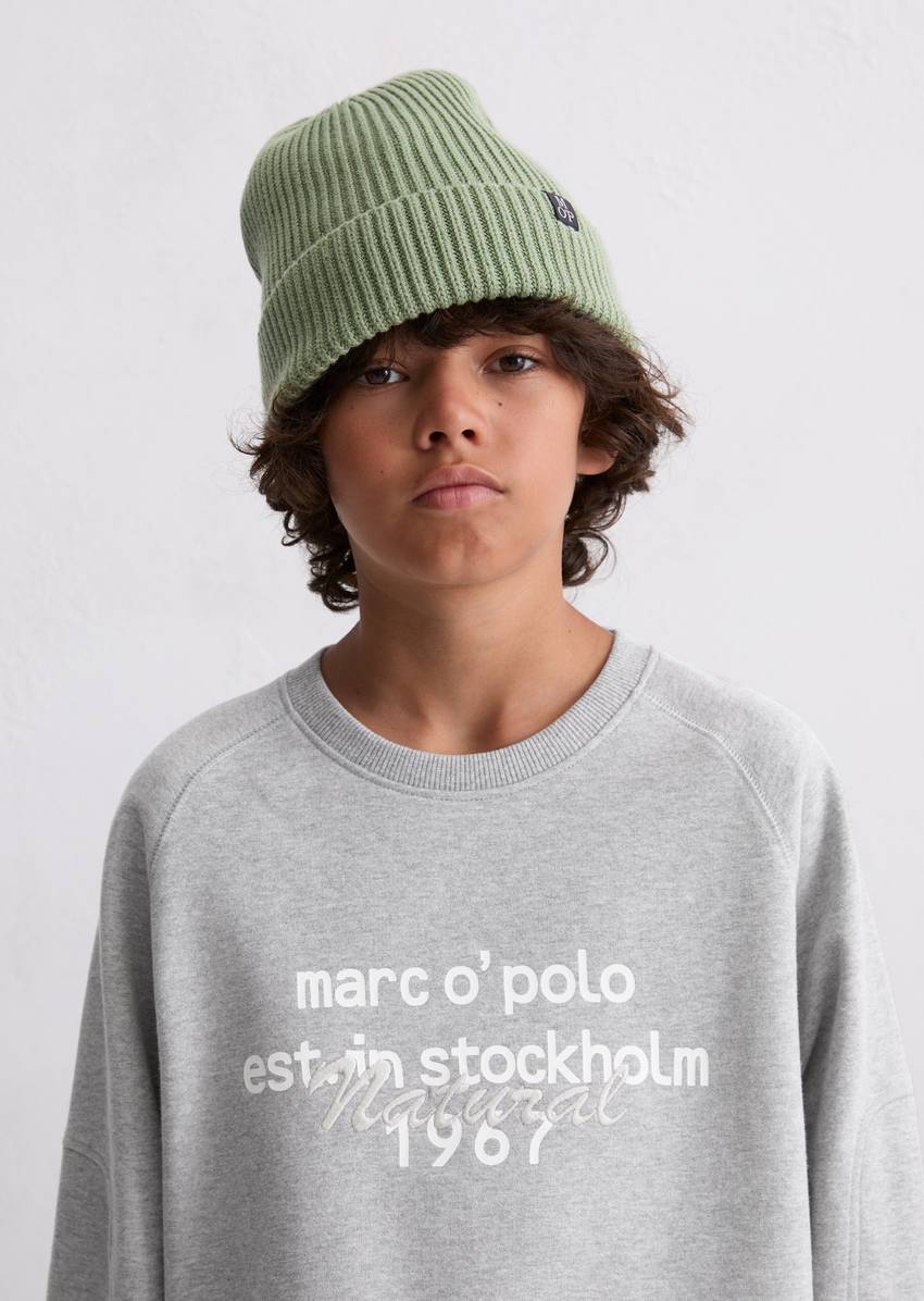 TEENS-BOYS sweatshirt made from pure organic cotton