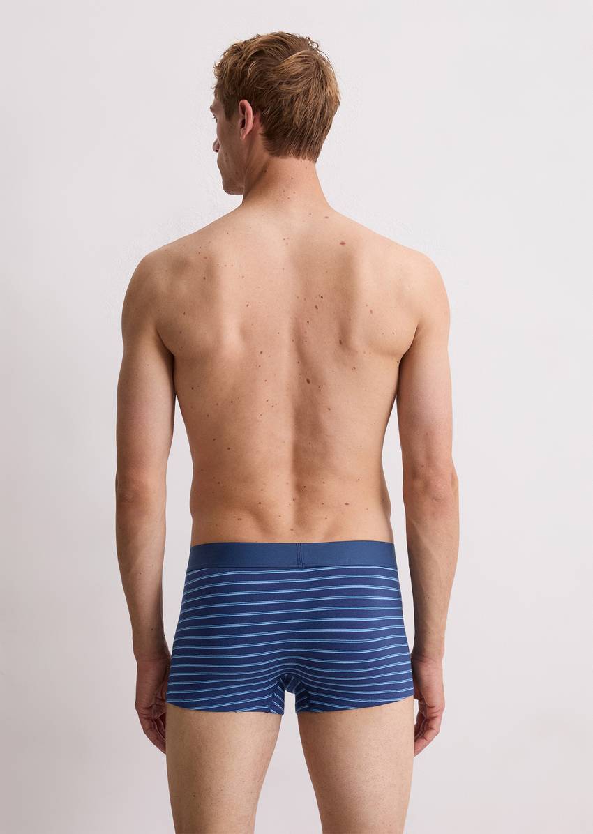 Trunk in a pack of 3