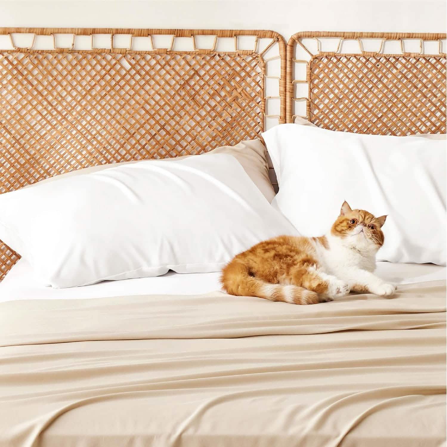 GentleSoft® Pillow Cases Set