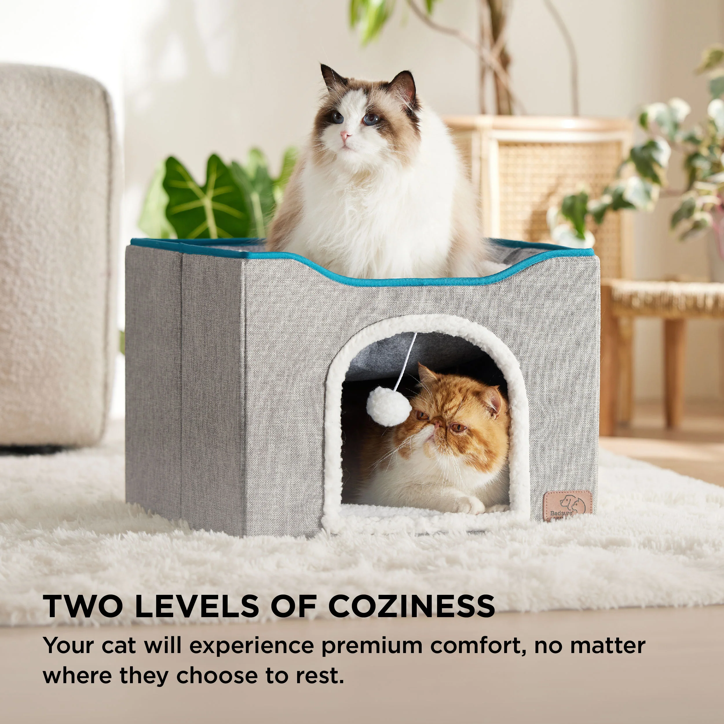 Cat Beds for Indoor Pet Cat House