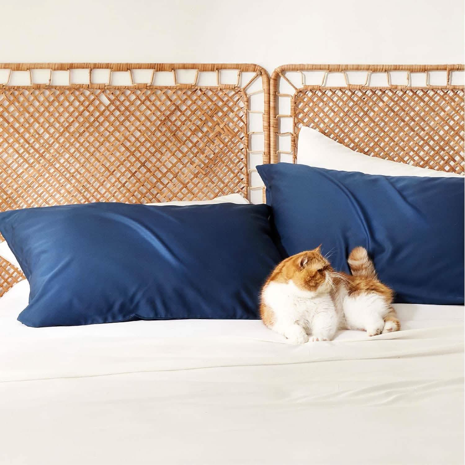 GentleSoft® Pillow Cases Set