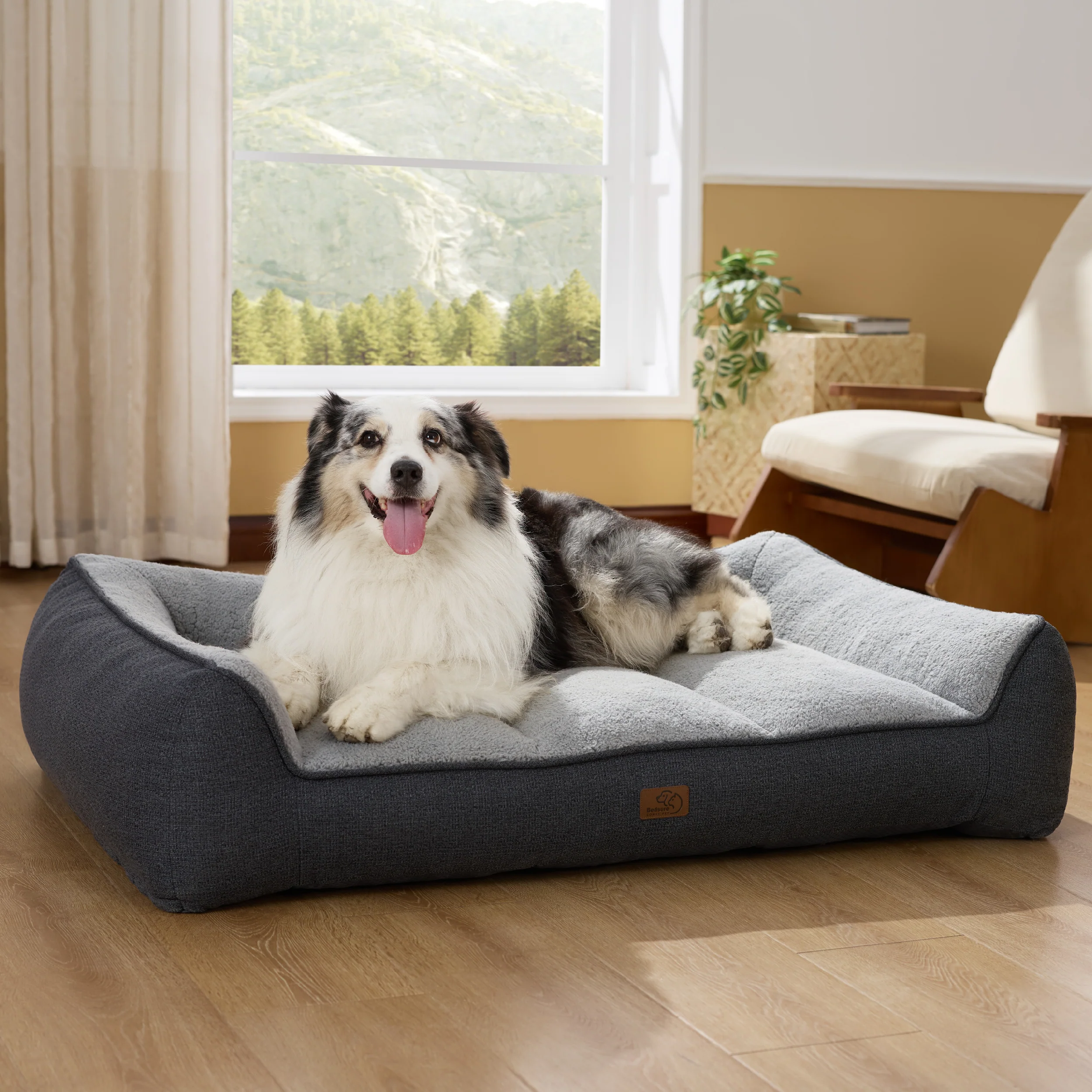 Supportive Dog Couch