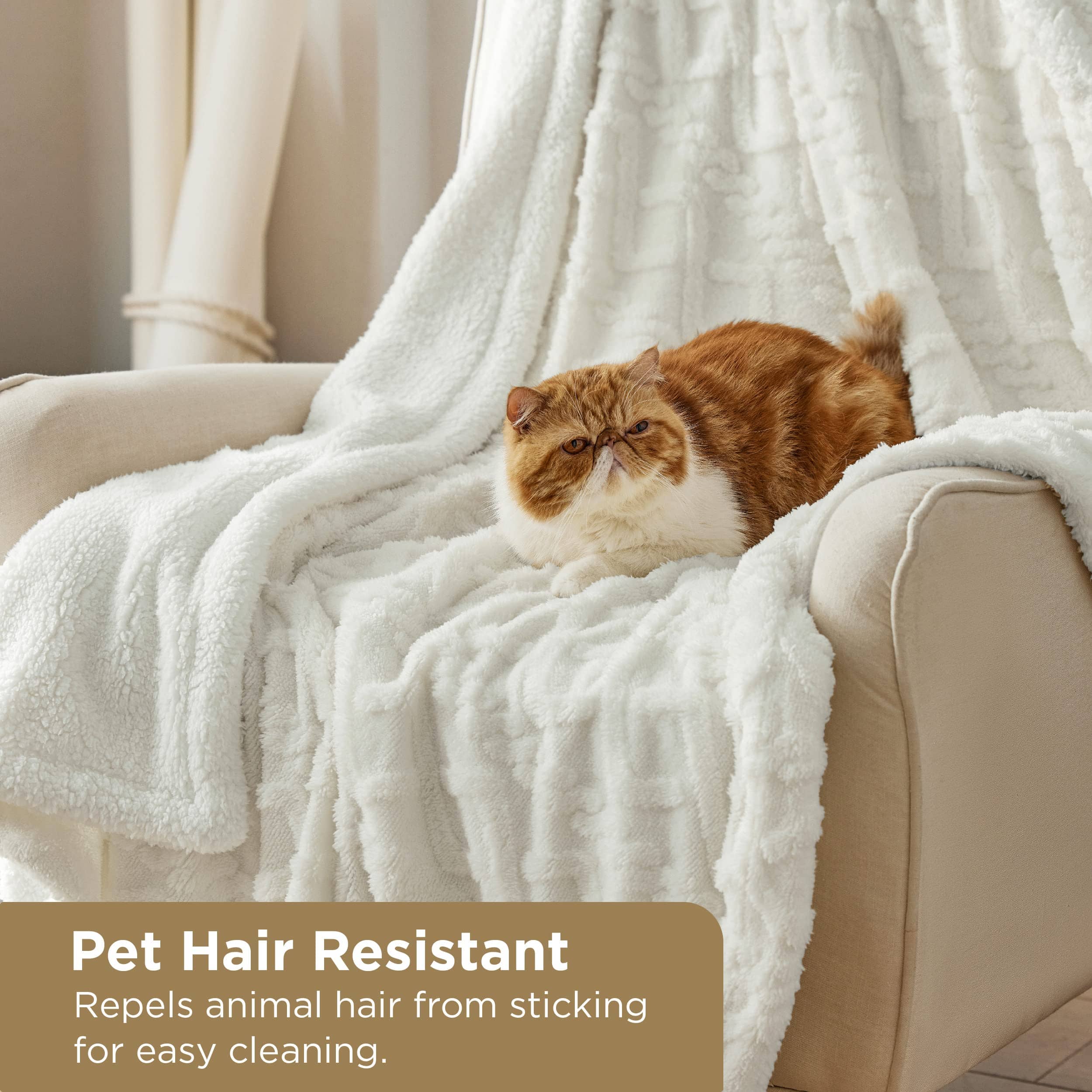 GentleSoft® Sherpa Throw Blanket For Couch