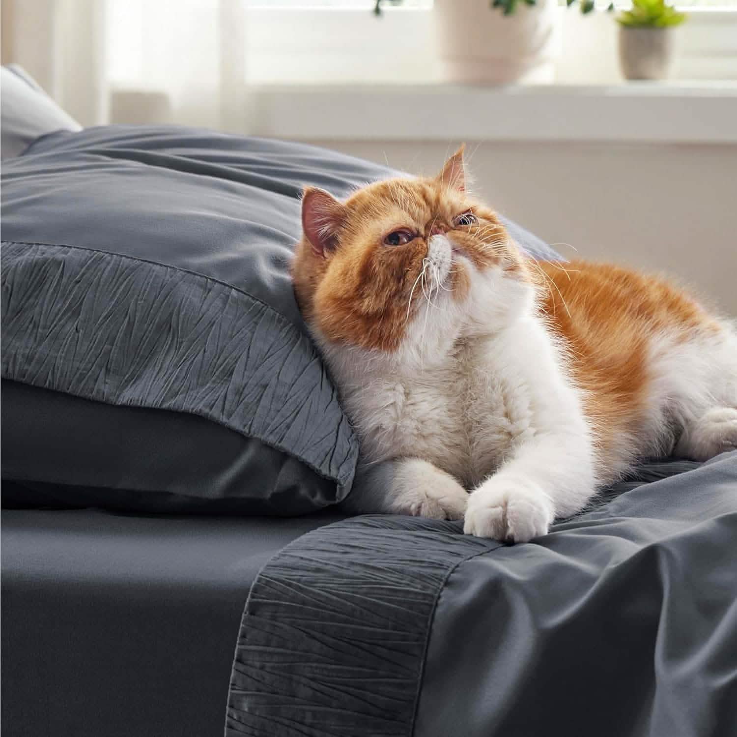 GentleSoft® Ruched Sheet Set