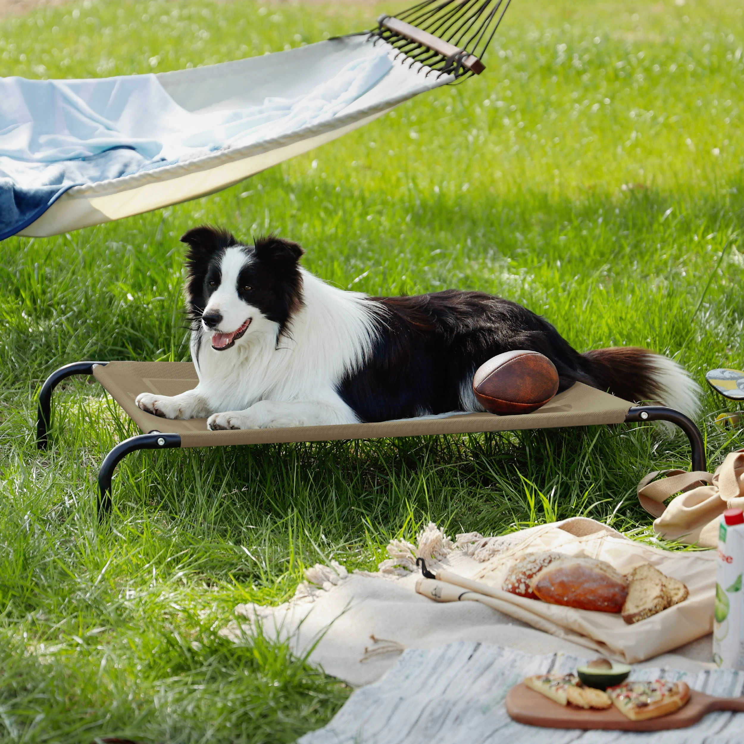 Elevated Dog Bed
