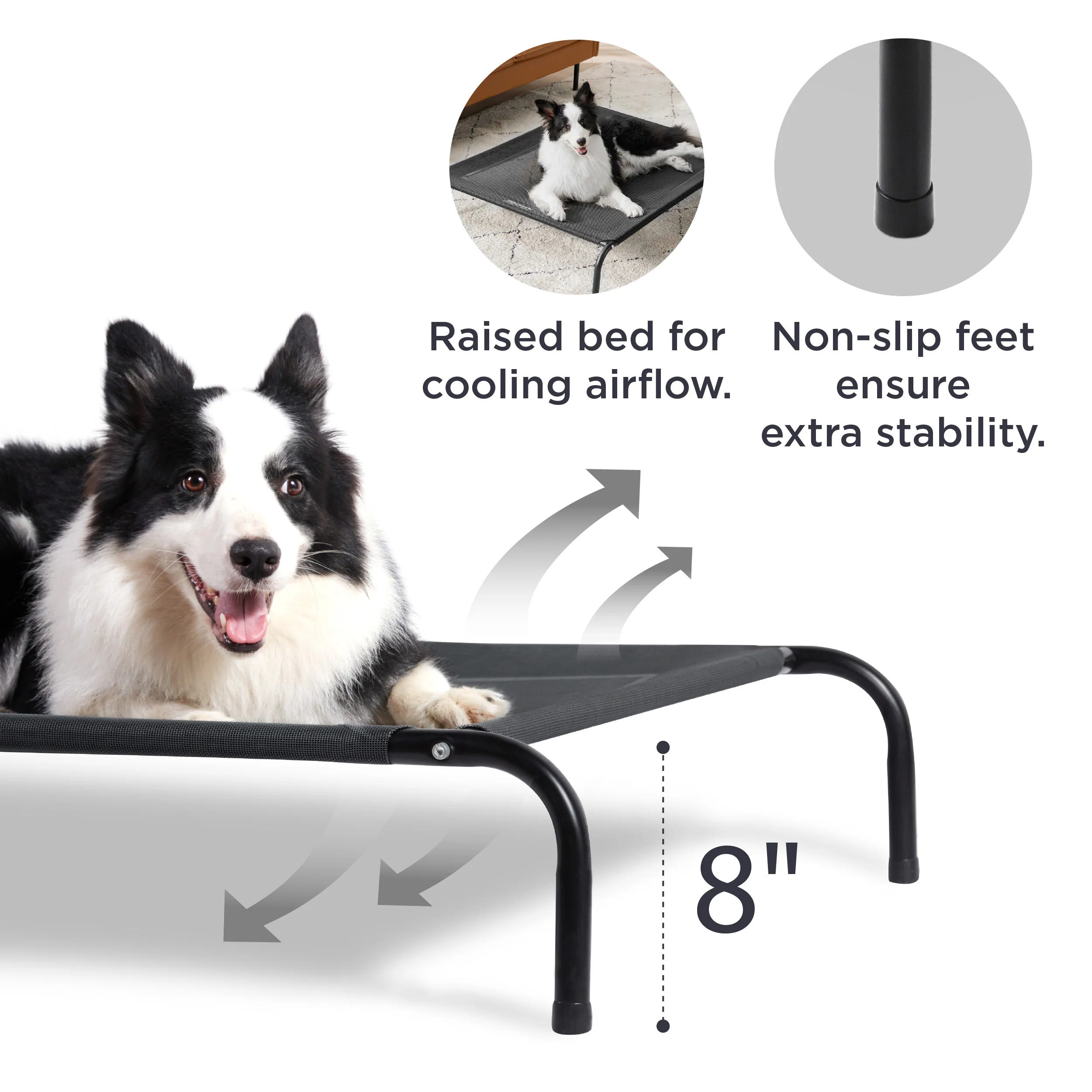 Elevated Dog Bed