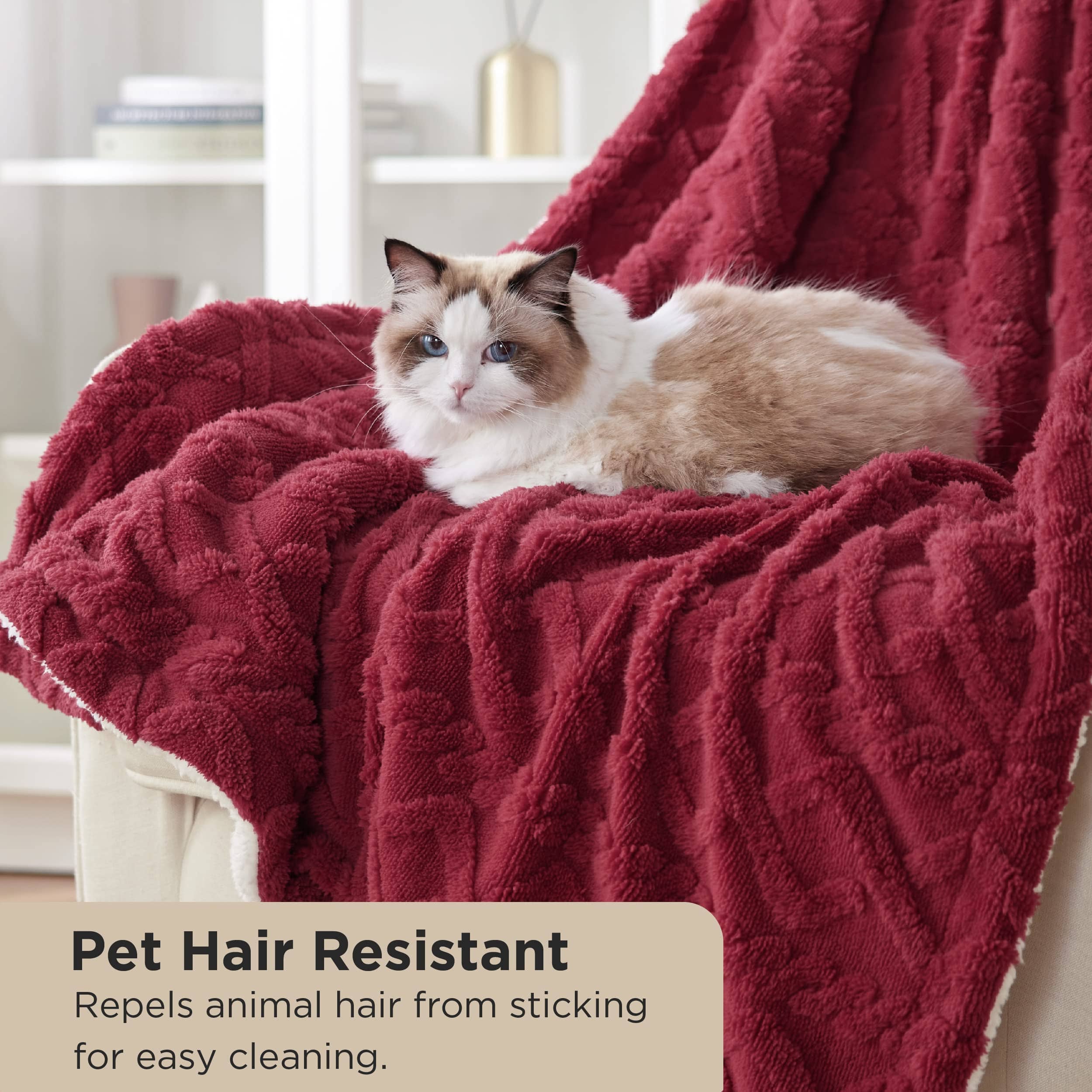 GentleSoft® Sherpa Throw Blanket For Couch