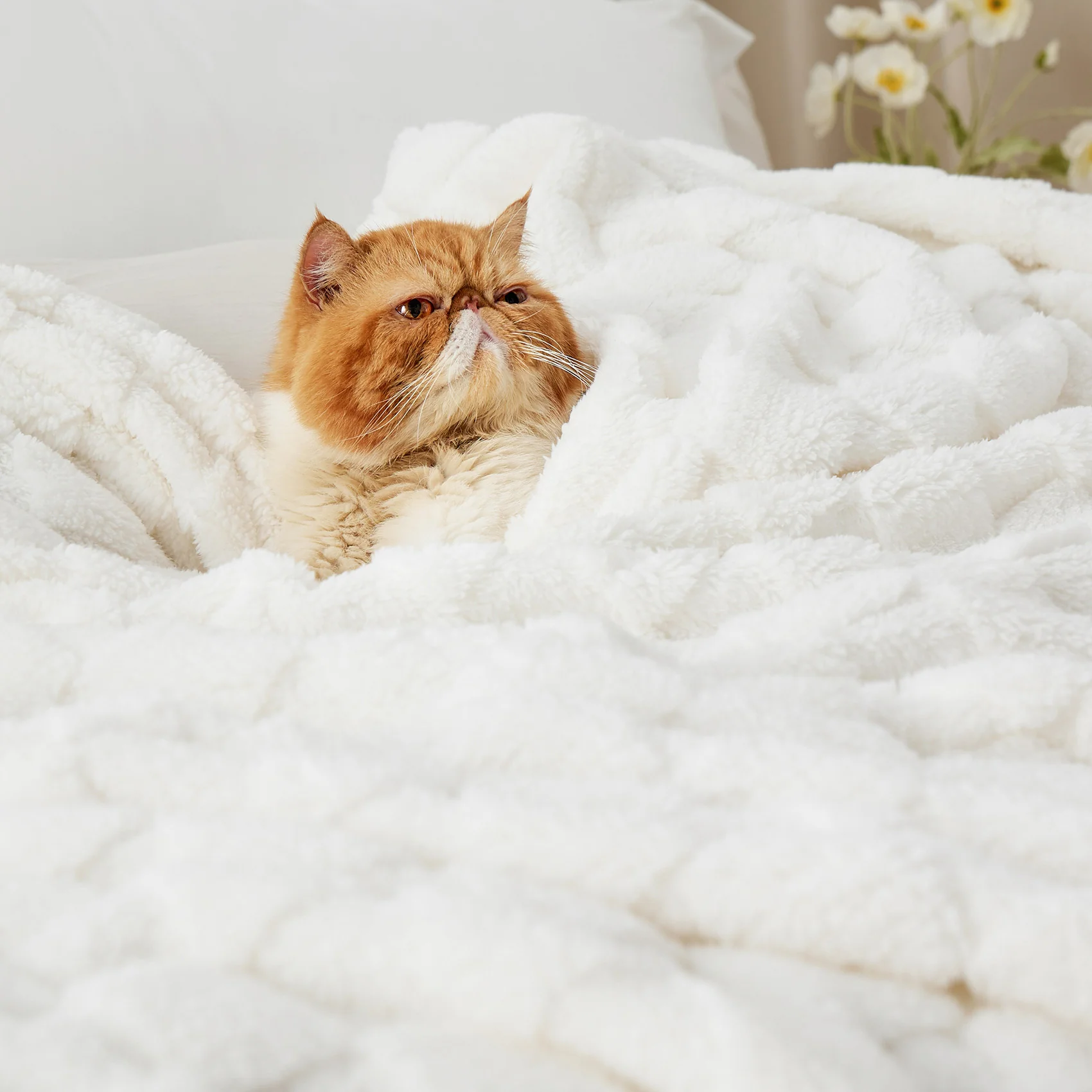 GentleSoft® Jacquard Shaggy Sherpa Blanket