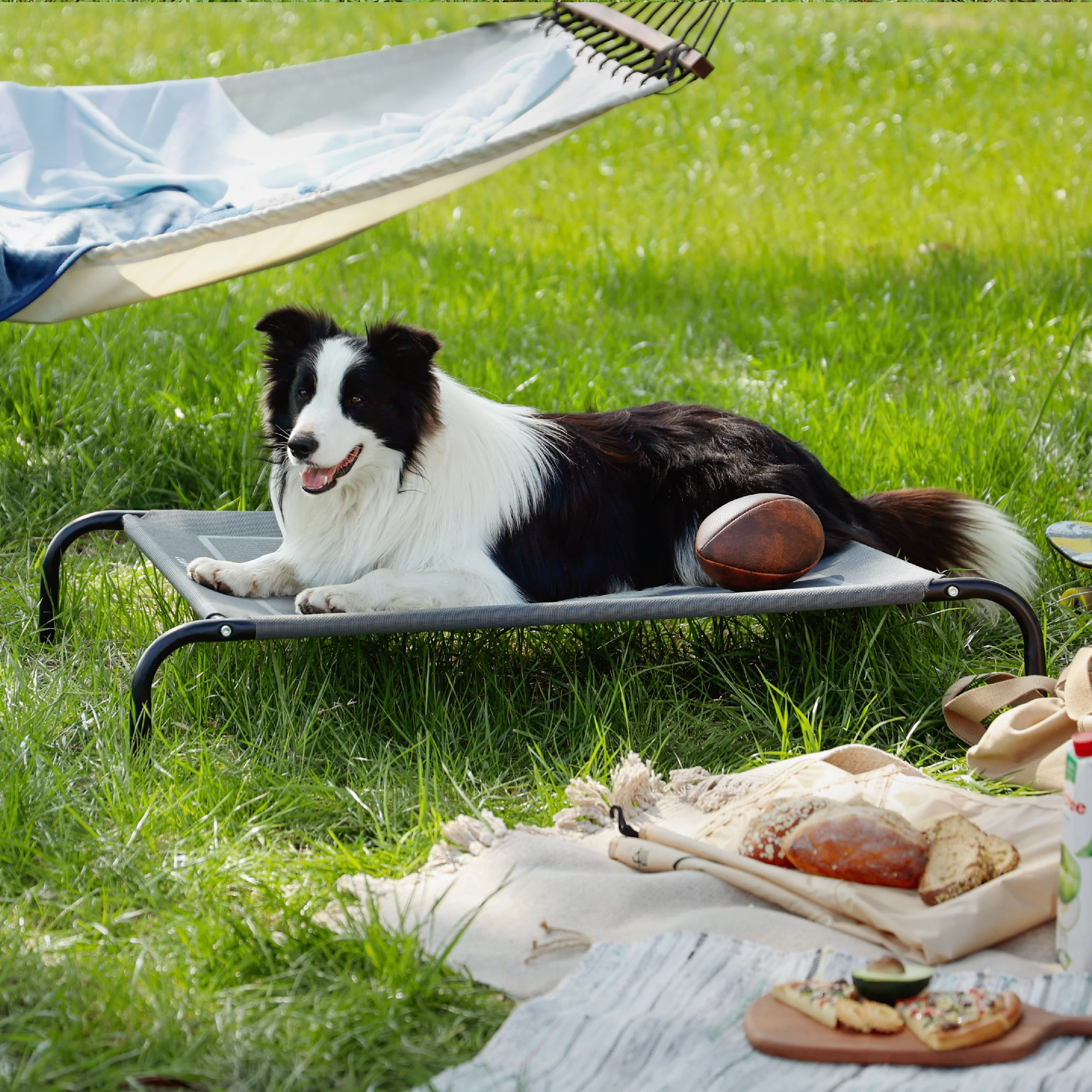 Elevated Dog Bed