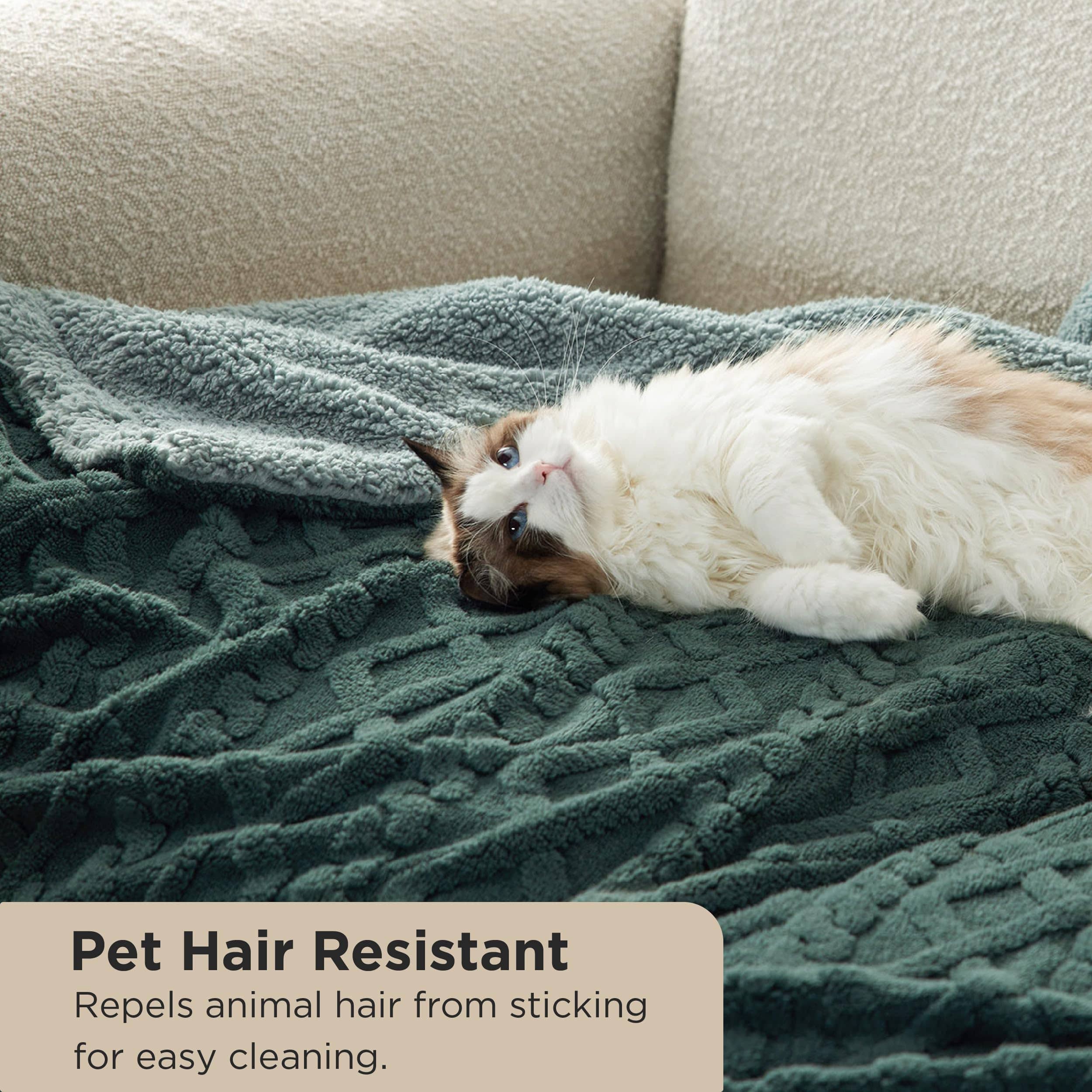 GentleSoft® Sherpa Throw Blanket For Couch