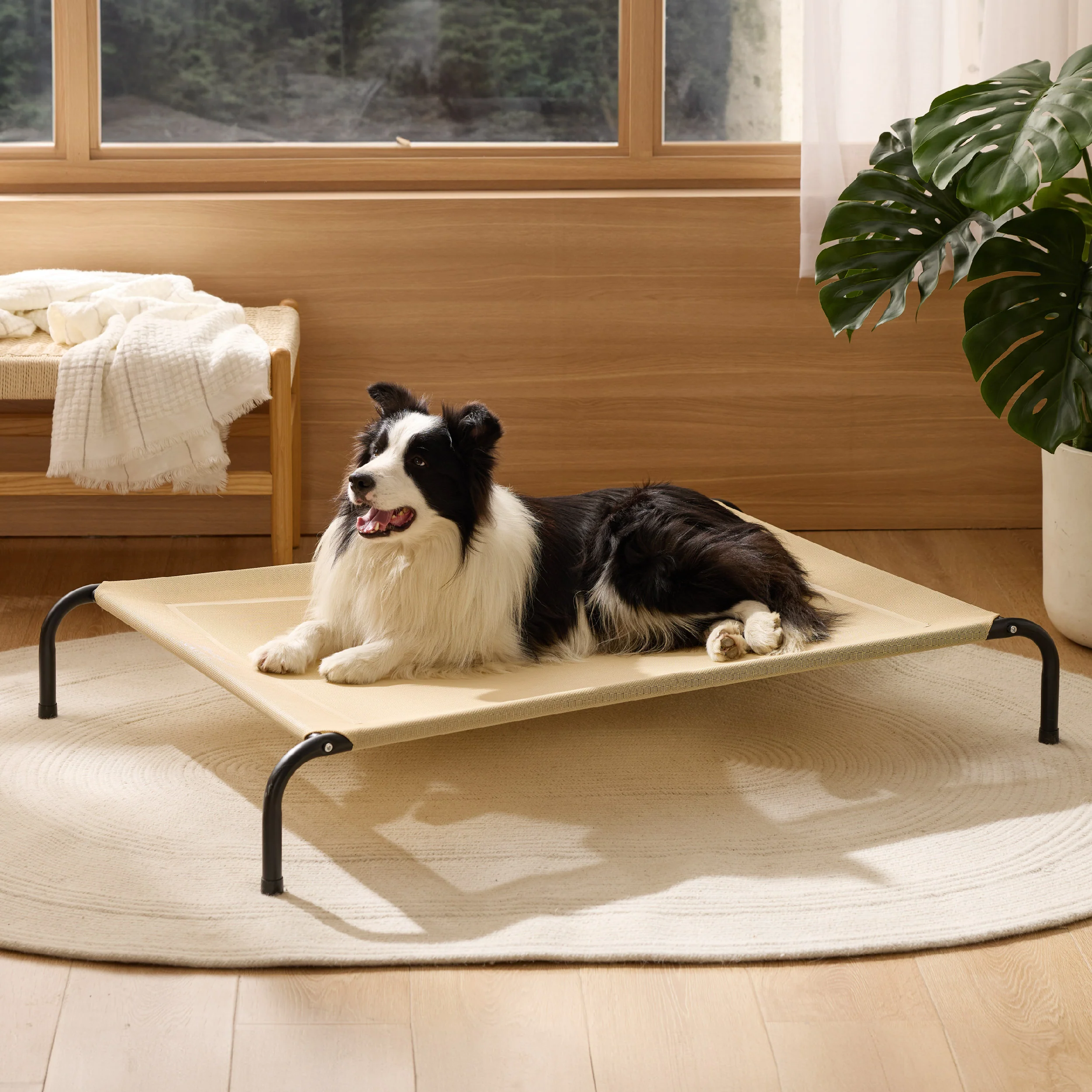 Elevated Dog Bed