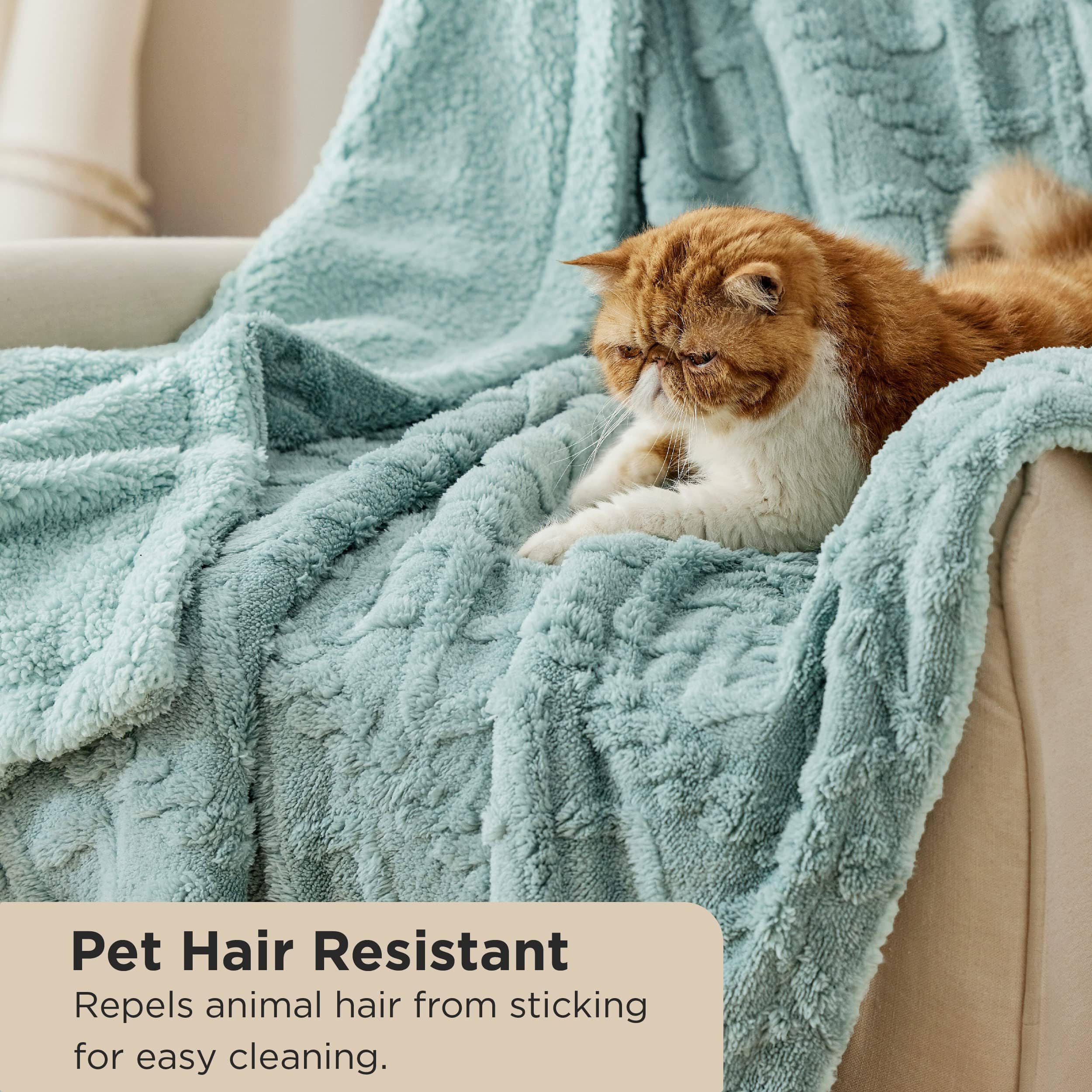 GentleSoft® Sherpa Throw Blanket For Couch