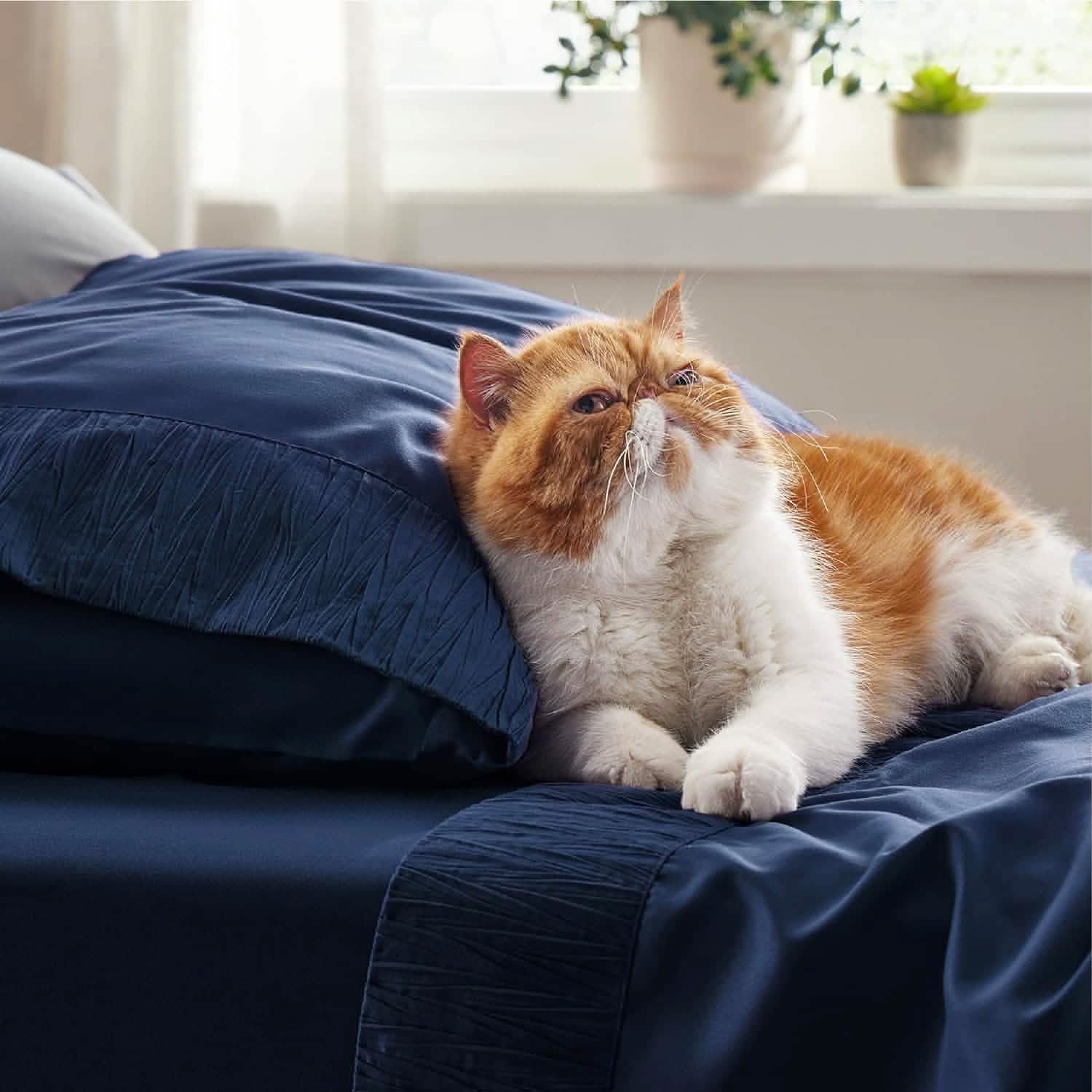 GentleSoft® Ruched Sheet Set
