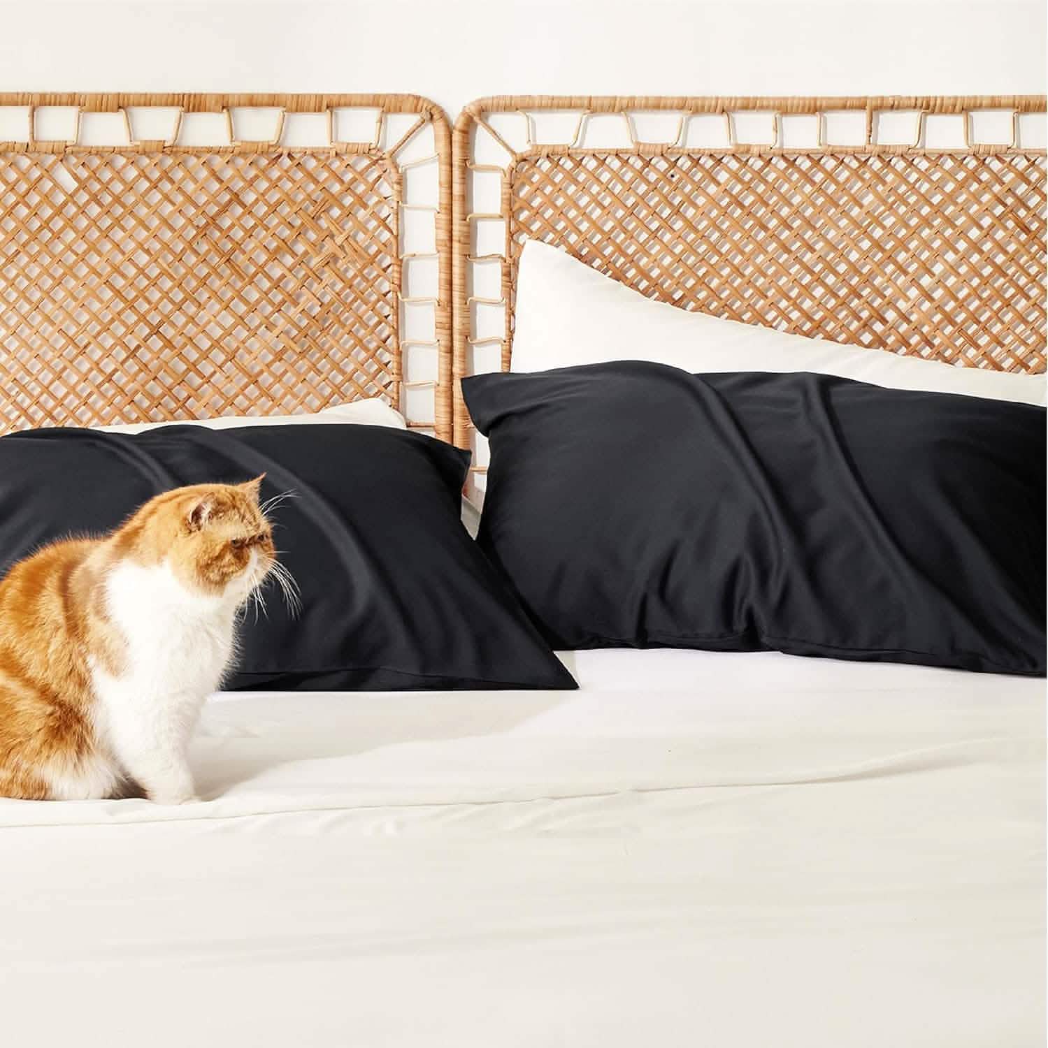 GentleSoft® Pillow Cases Set