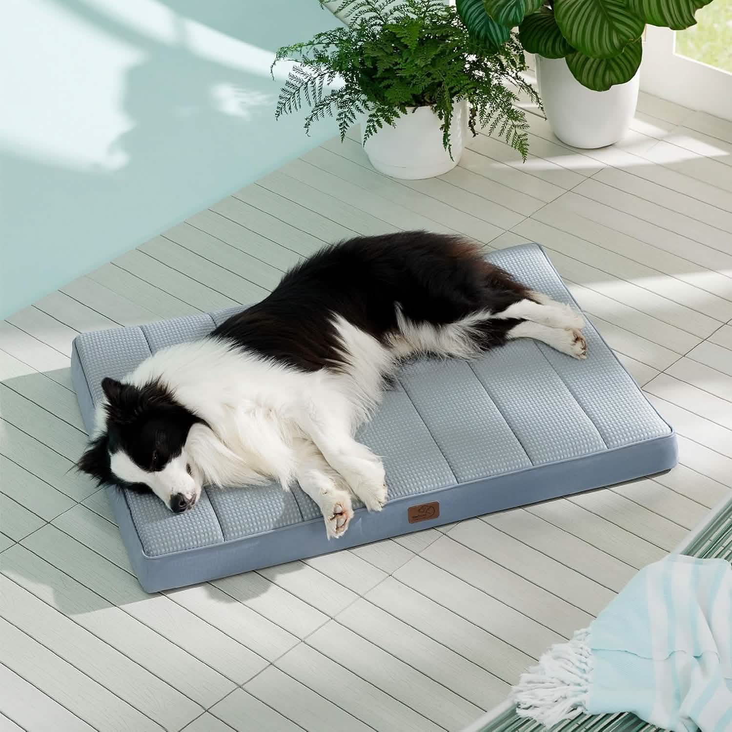 Egg Crate Foam Dog Bed
