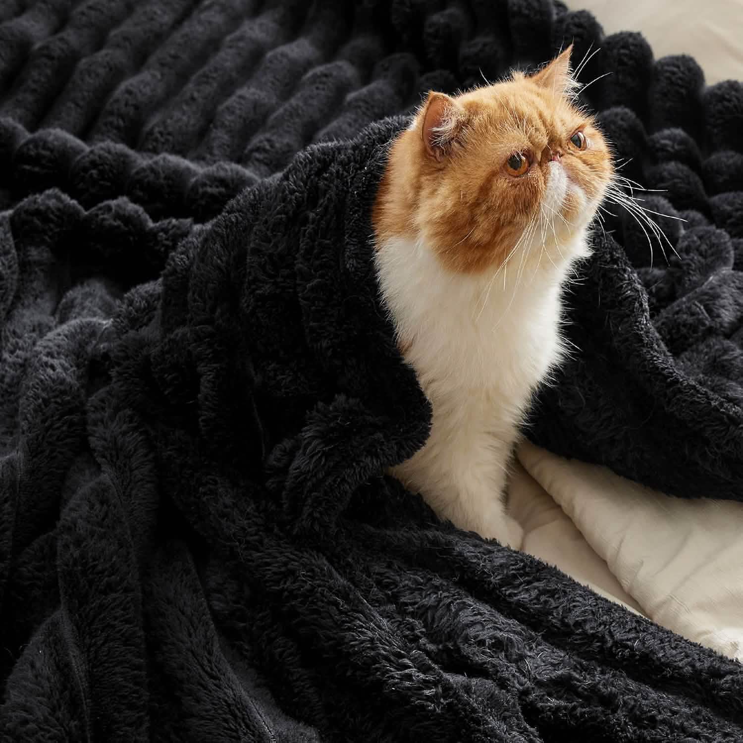 GentleSoft® Luxe Blanket