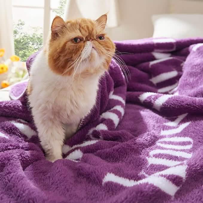 GentleSoft® Shaggy Sherpa Compassion Blanket