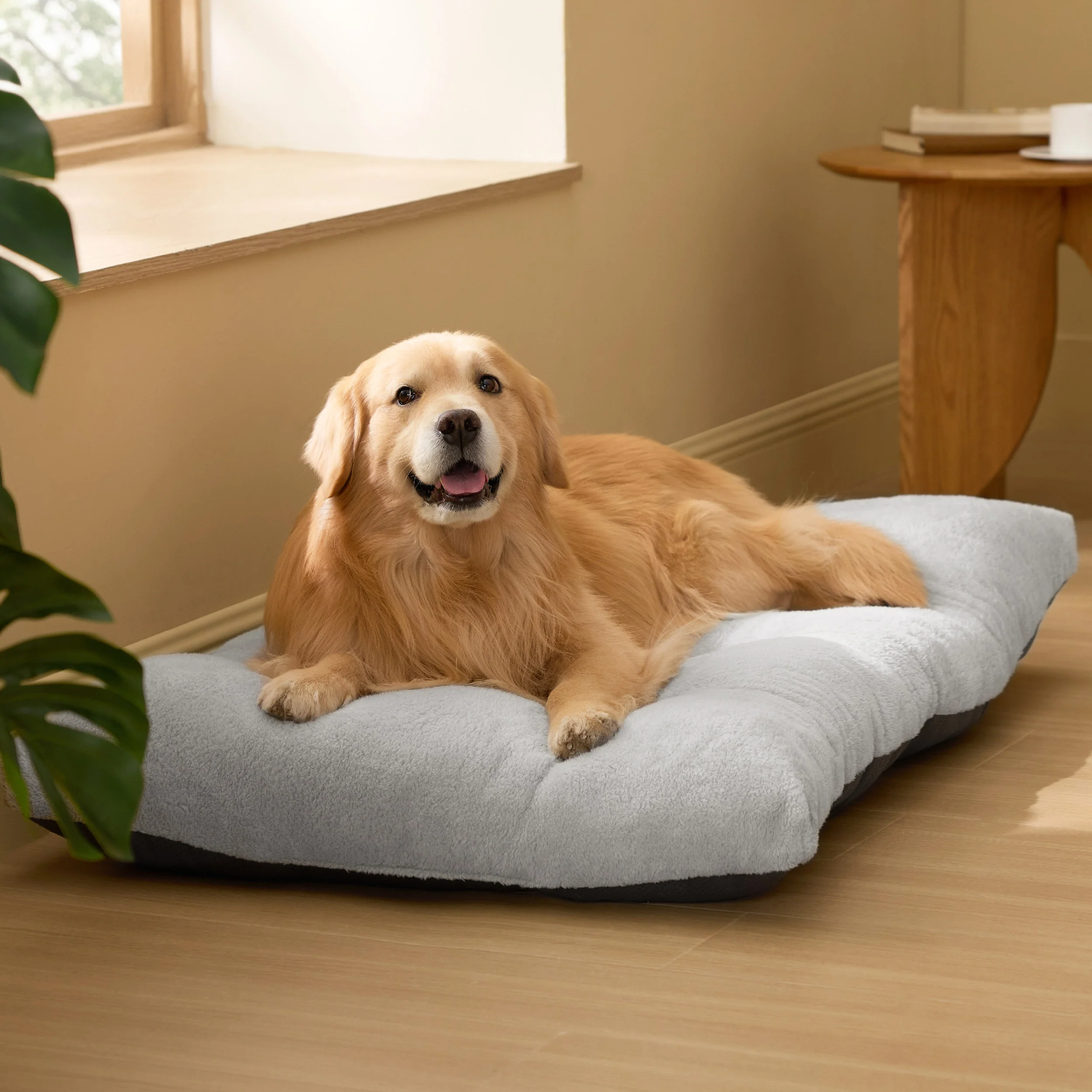 Fluffy Dog Mat