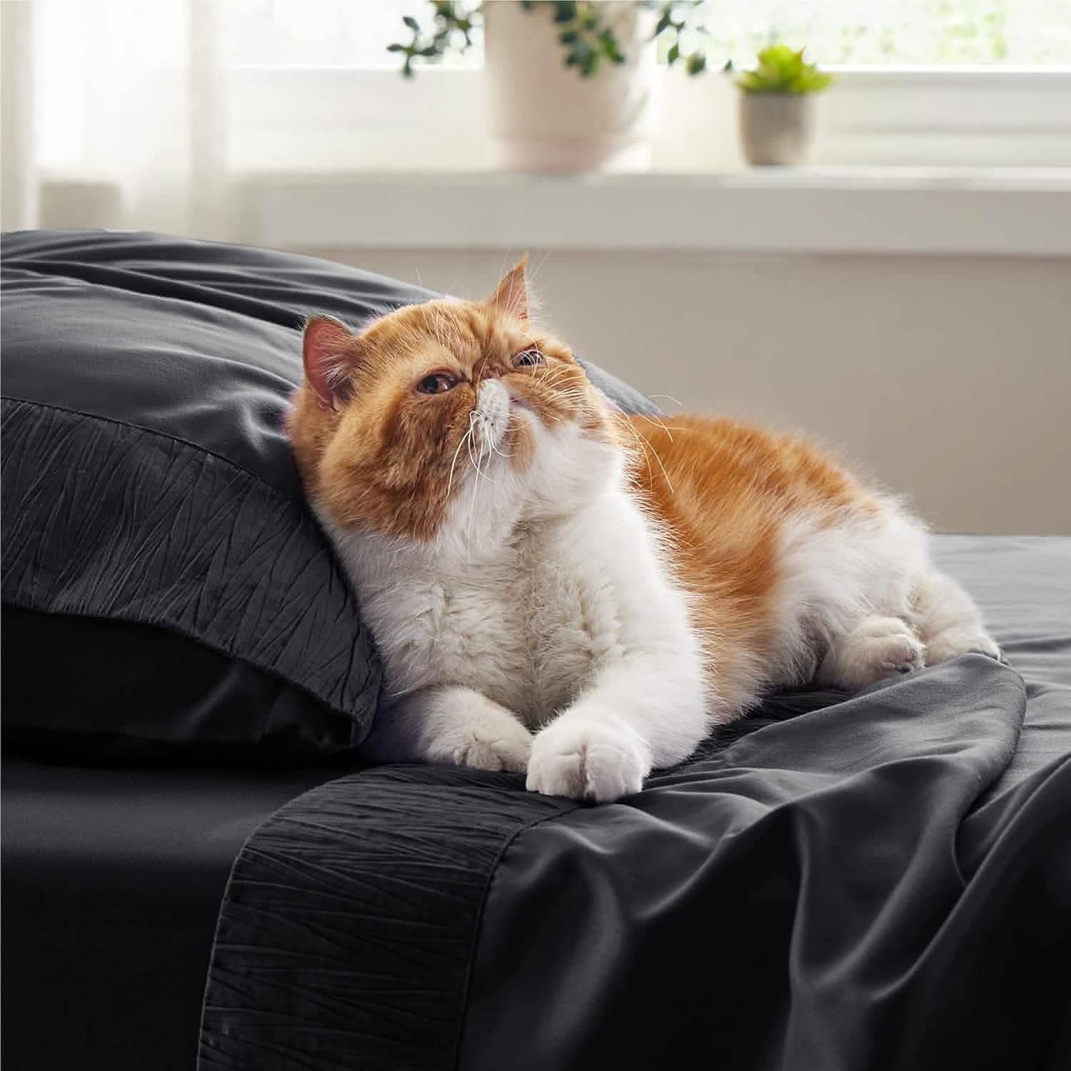 GentleSoft® Ruched Sheet Set