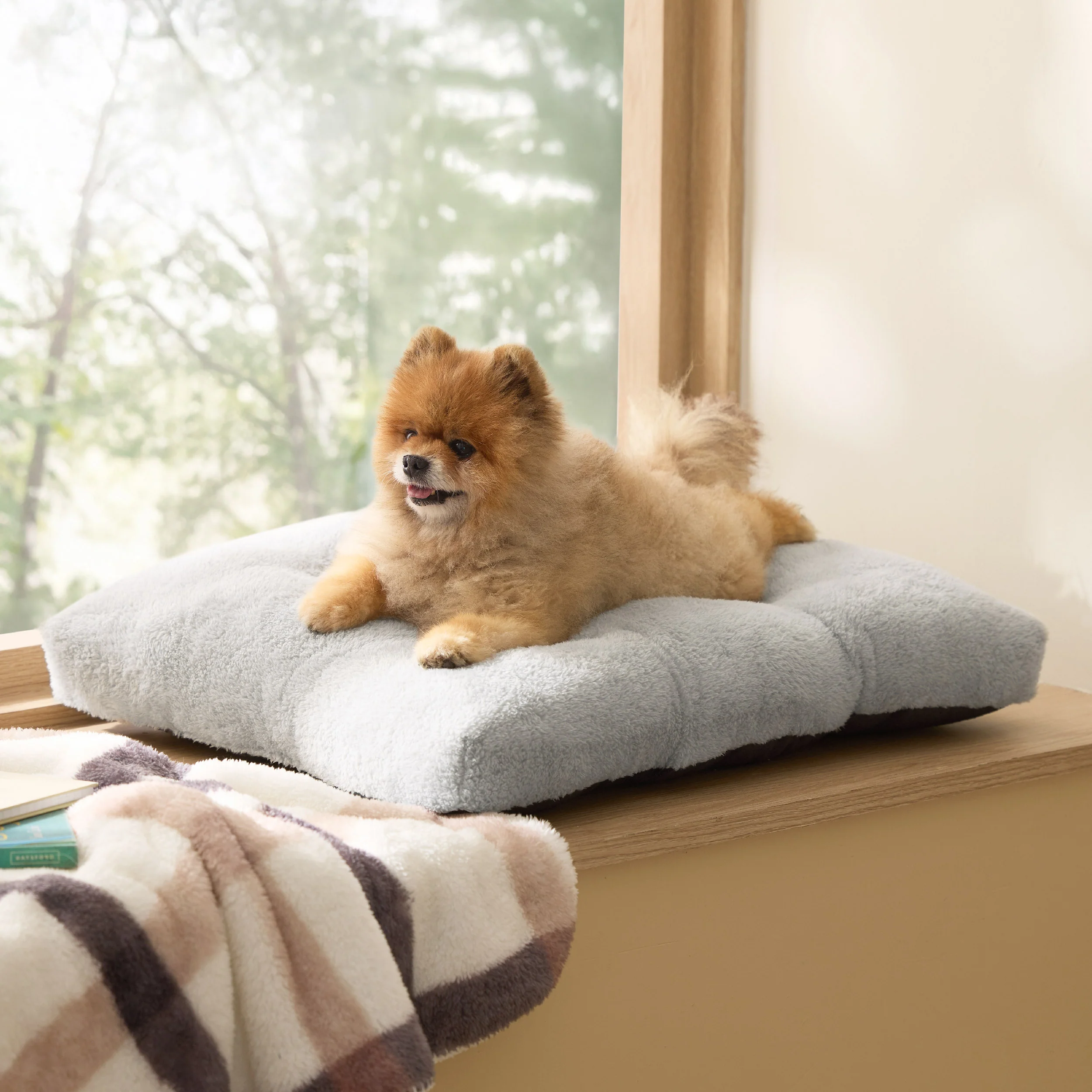 Fluffy Dog Mat