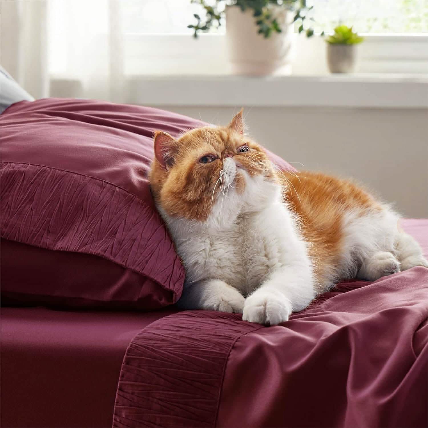 GentleSoft® Ruched Sheet Set