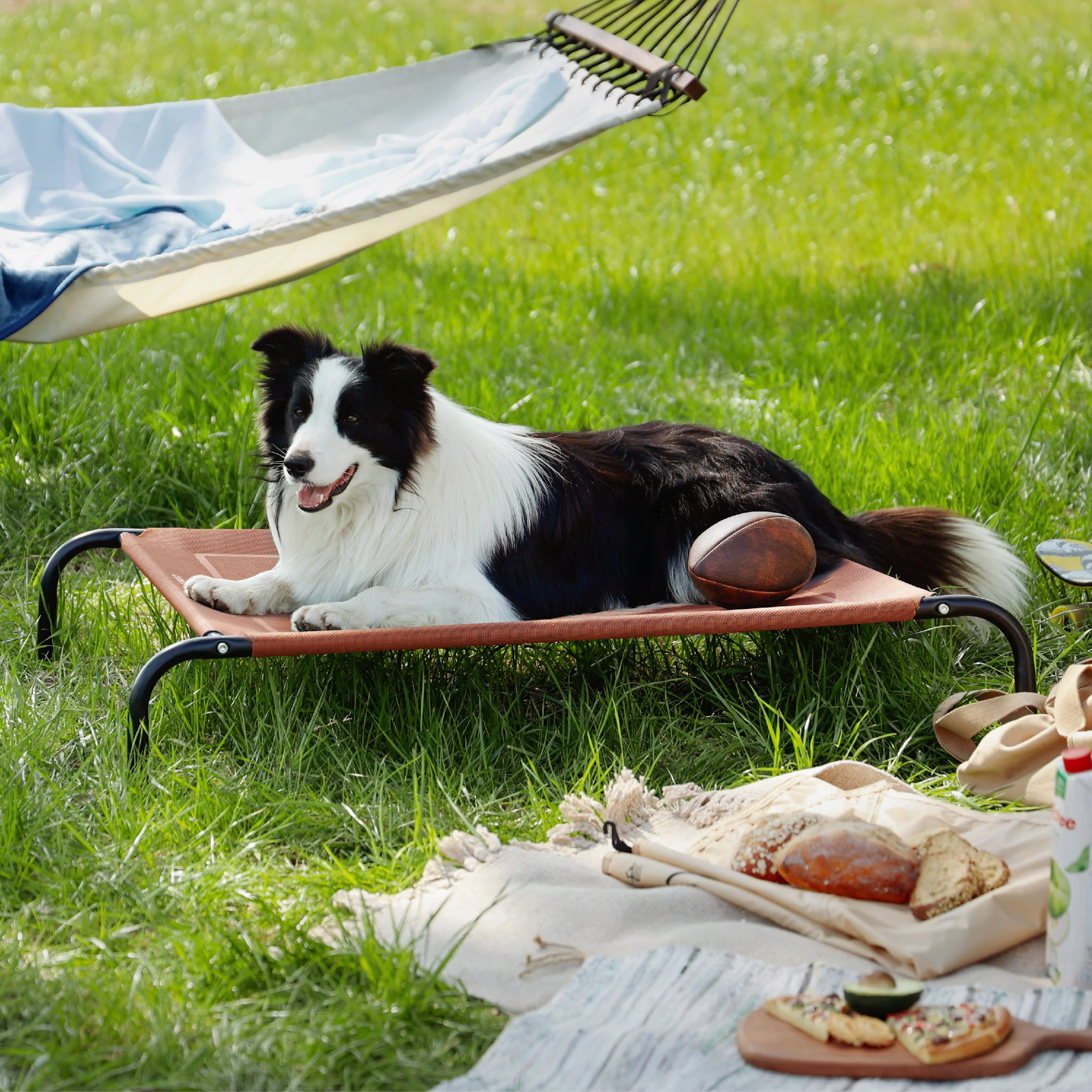 Elevated Dog Bed