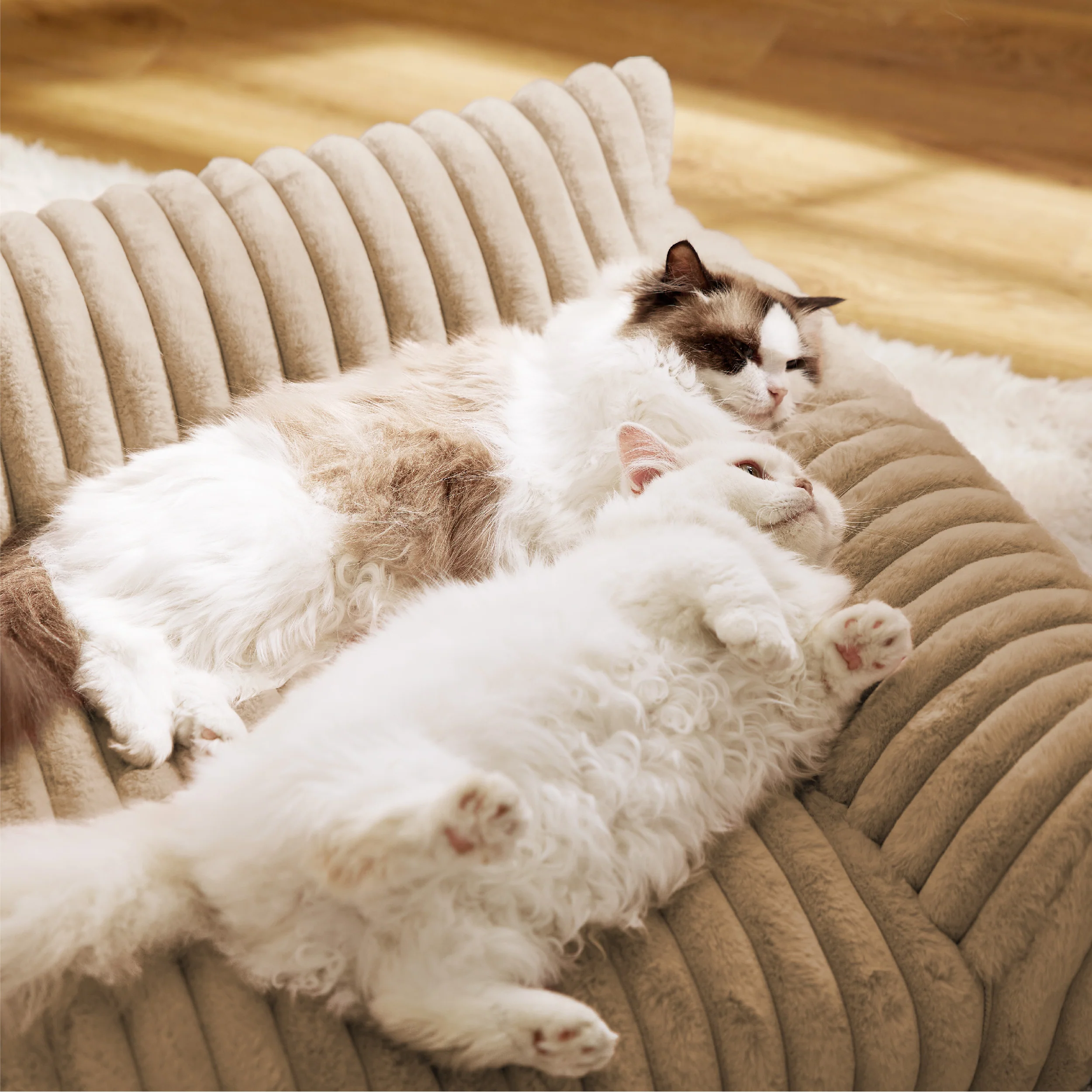 Corduroy Fleece Cat Couch