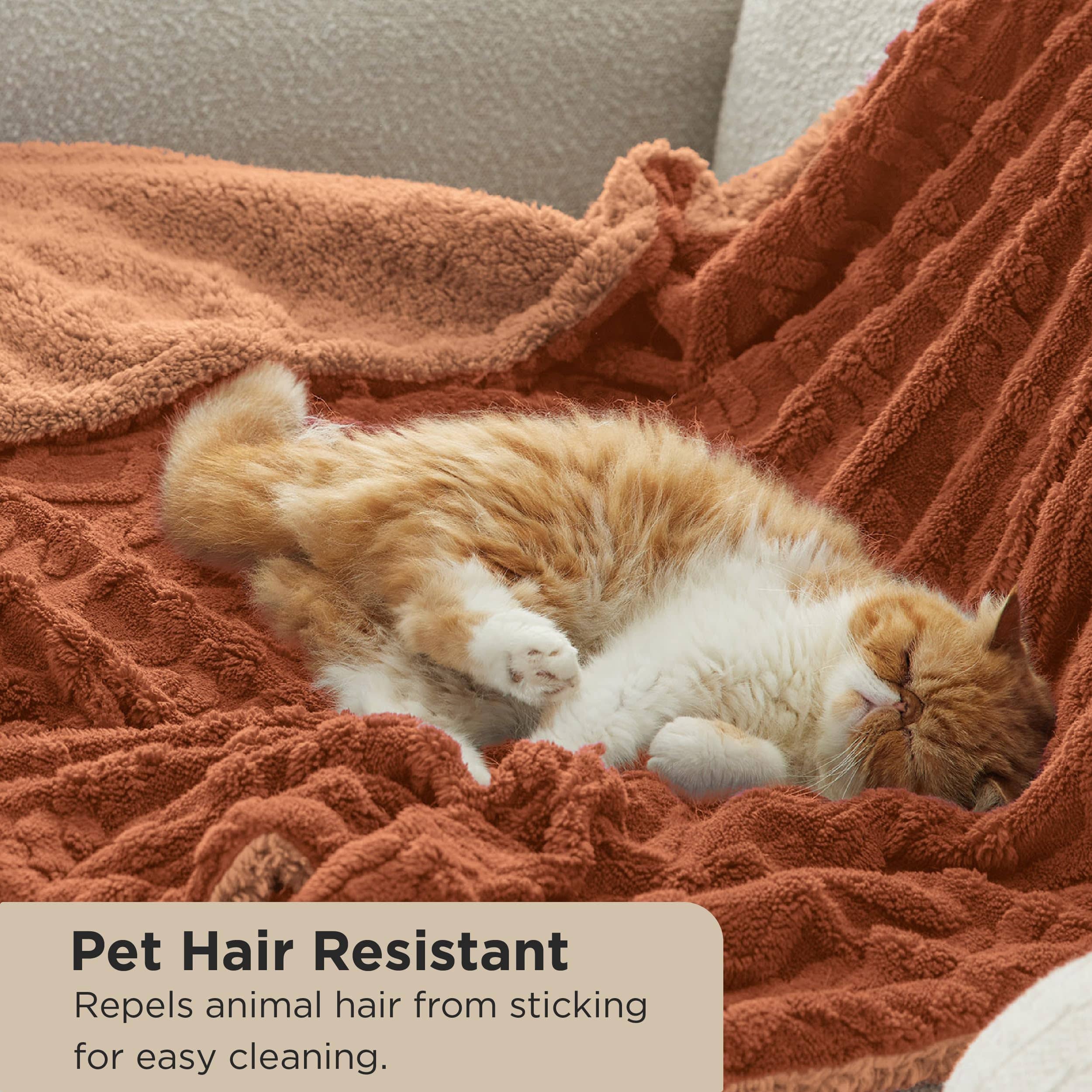 GentleSoft® Sherpa Throw Blanket For Couch