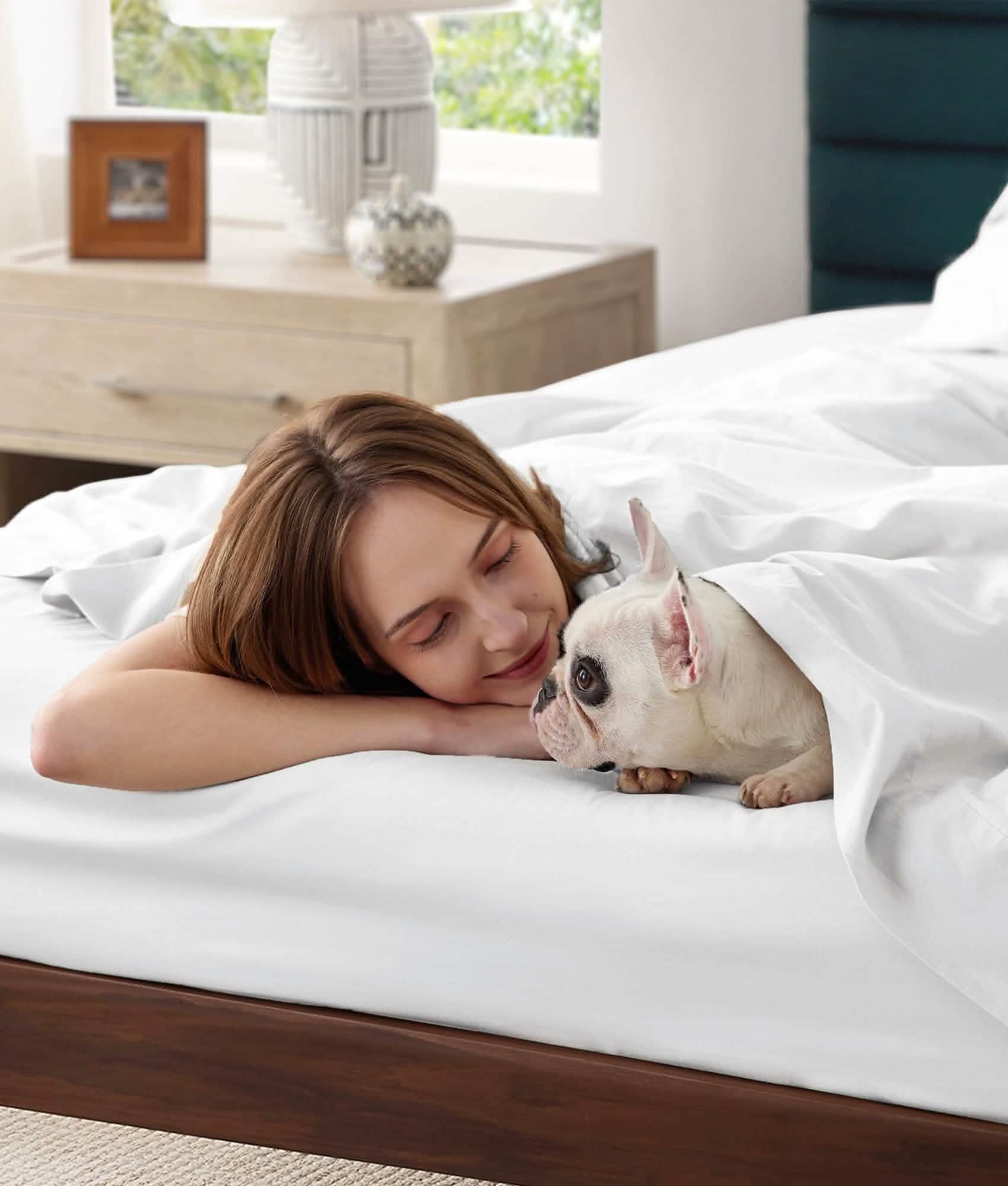 GentleSoft® Cotton Percale Weave Sheet Set