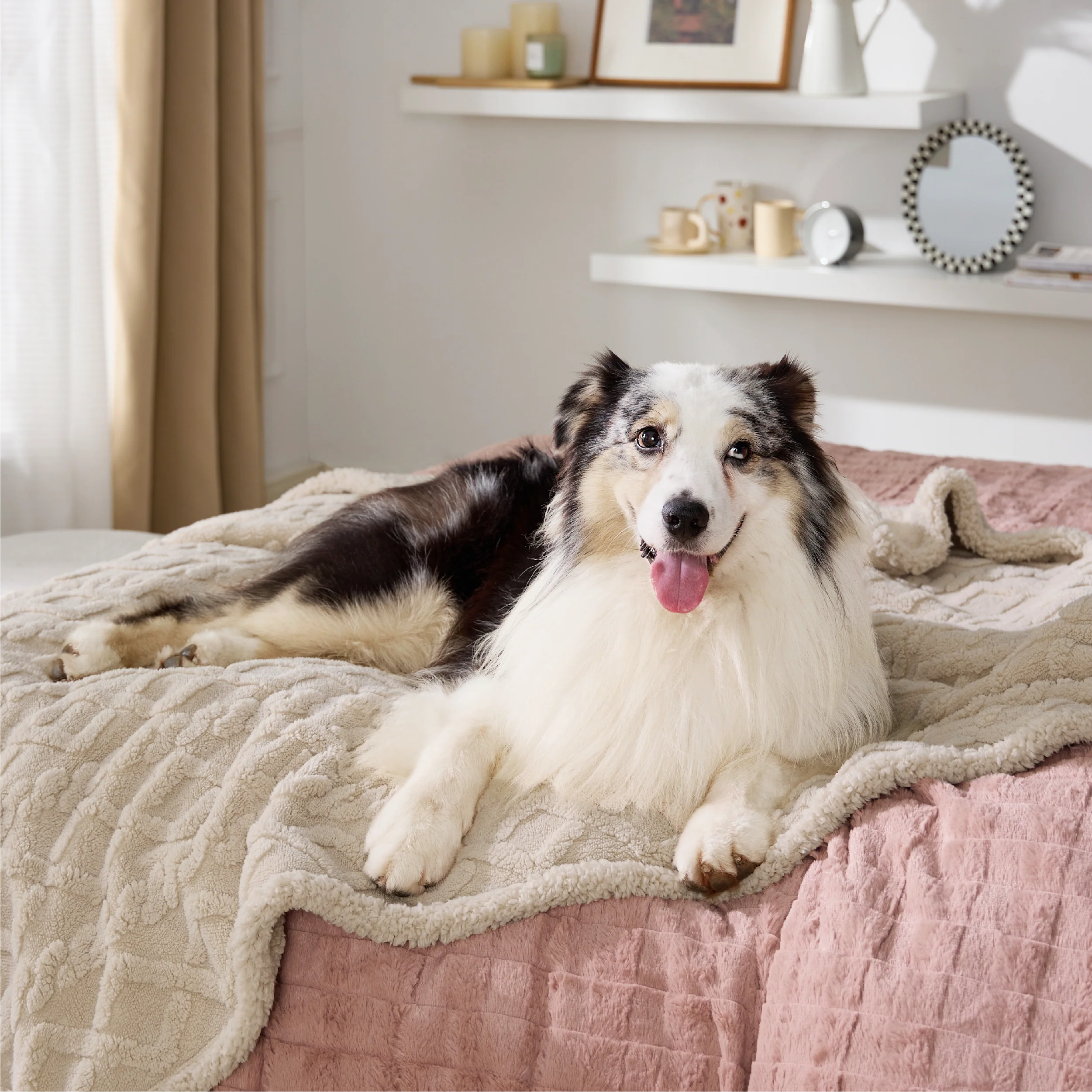 Waterproof Dog Blanket