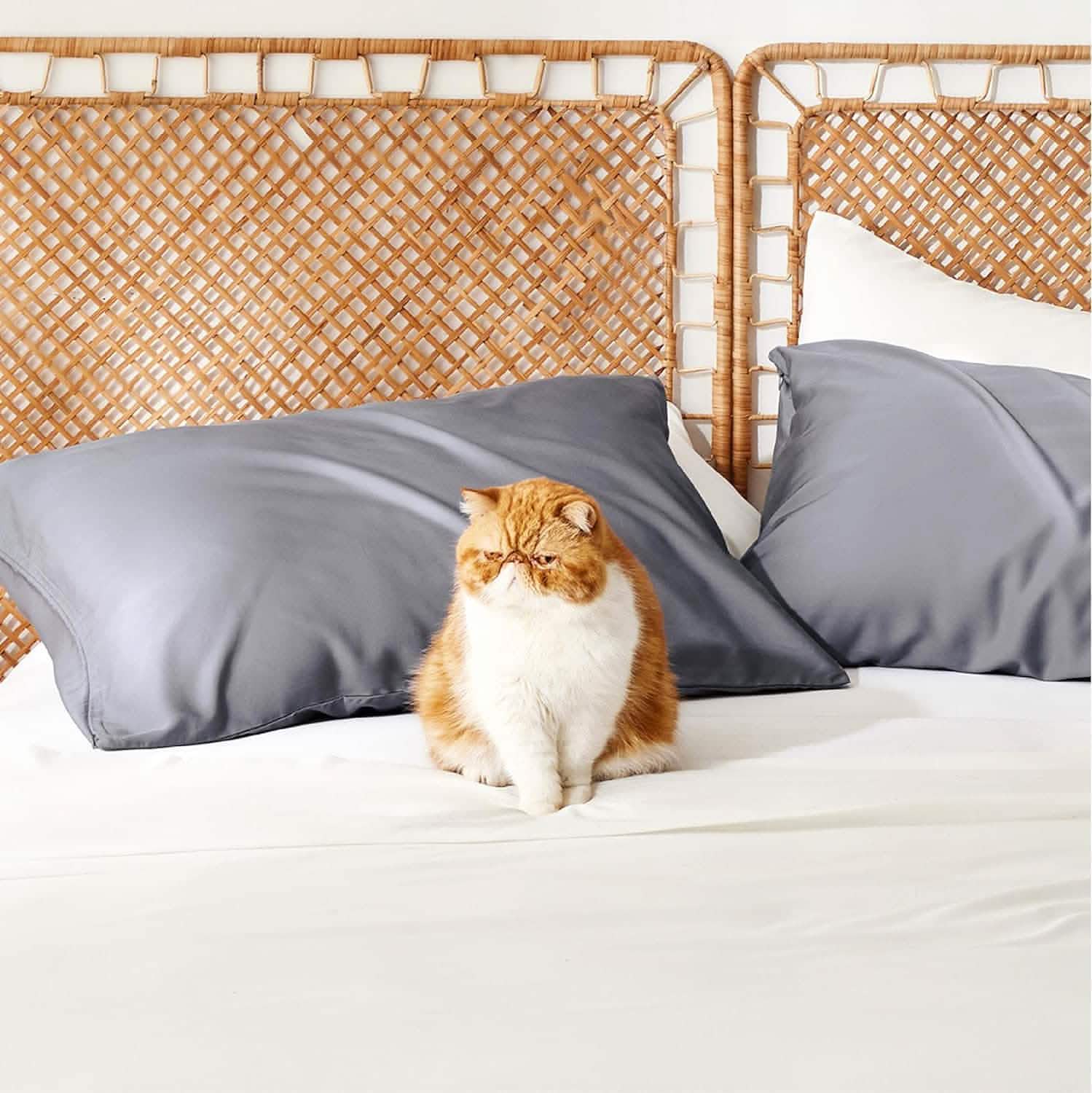 GentleSoft® Pillow Cases Set