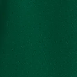 Green organic cotton sweatshirt with sequin and bead embroideries