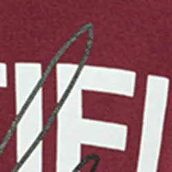 Burgundy organic cotton-jersey hoodie with logo print