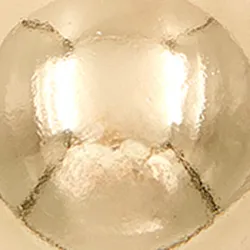 Gold-tone sphere necklace