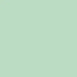 Mint green leather pouch