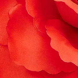 Red flower-shaped brooch