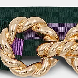 Dark green and purple striped belt with gold-tone buckle