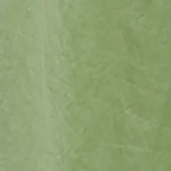 Light green satin wide-leg pants