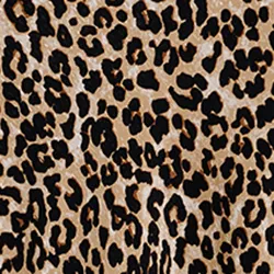 Brown maxi-length dress with leopard print
